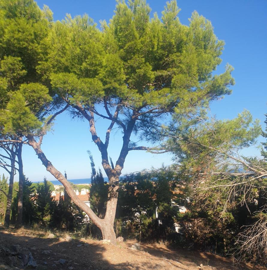 T2 Vue Mer Avec Parking Prive Saint-Pierre-la-Mer  Zewnętrze zdjęcie